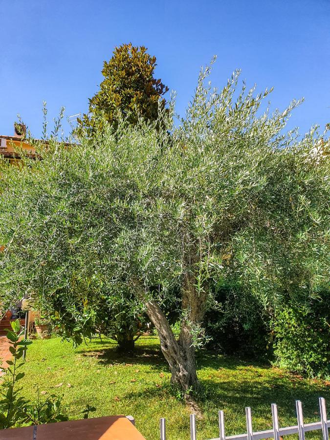 Villa Elsa, Cesena Zona Ippodromo Zewnętrze zdjęcie