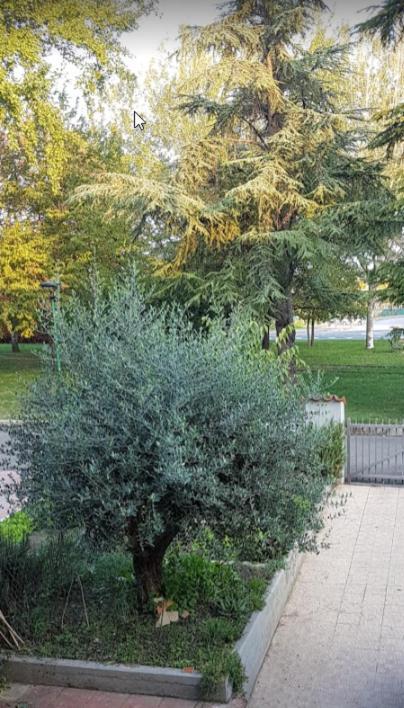 Villa Elsa, Cesena Zona Ippodromo Zewnętrze zdjęcie