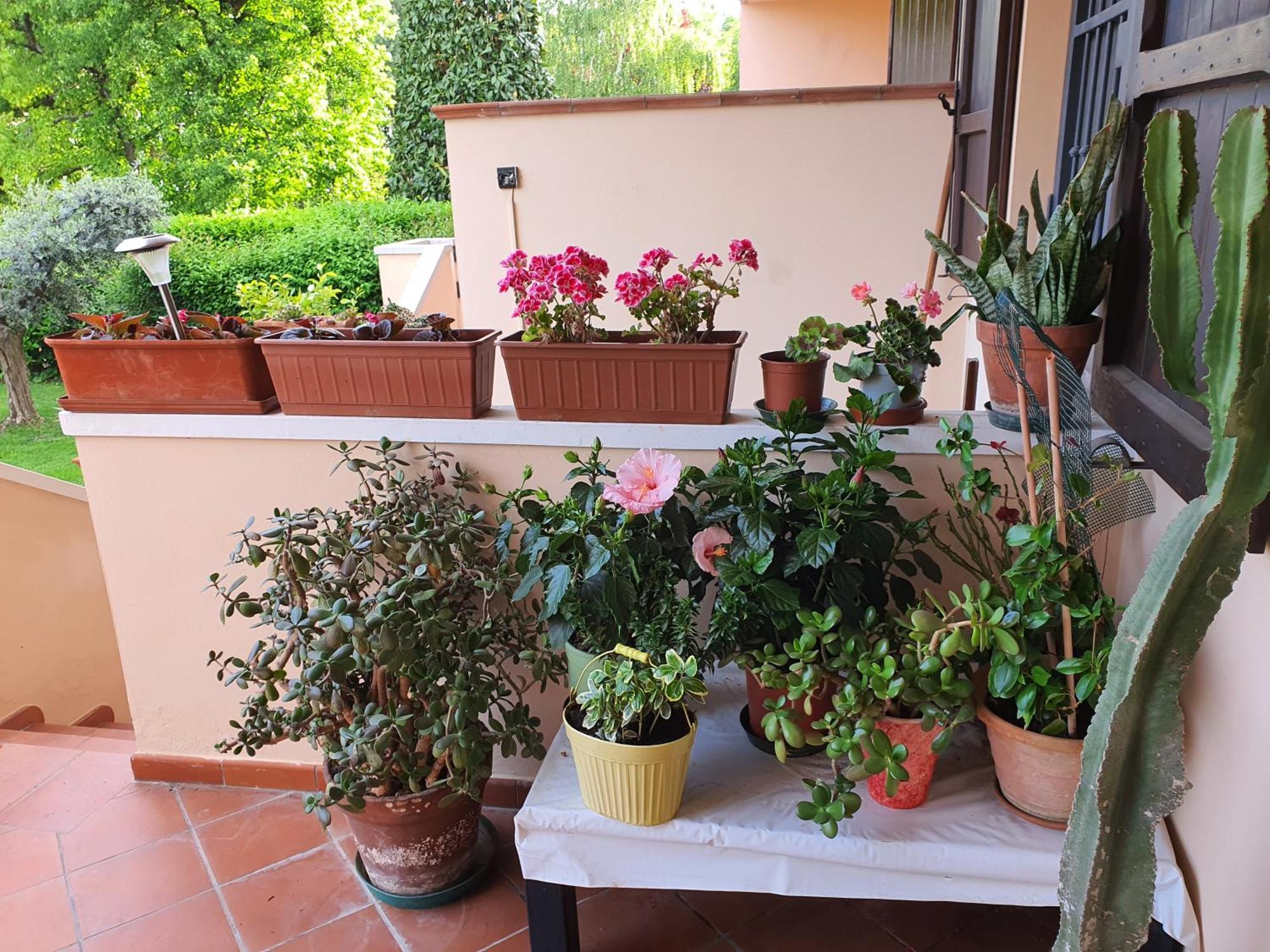Villa Elsa, Cesena Zona Ippodromo Zewnętrze zdjęcie