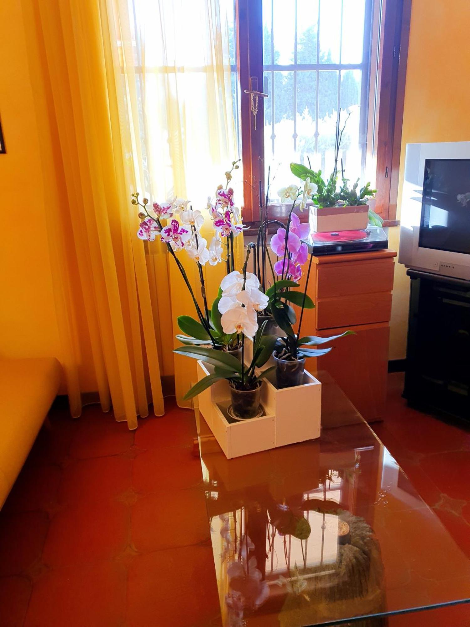 Villa Elsa, Cesena Zona Ippodromo Zewnętrze zdjęcie